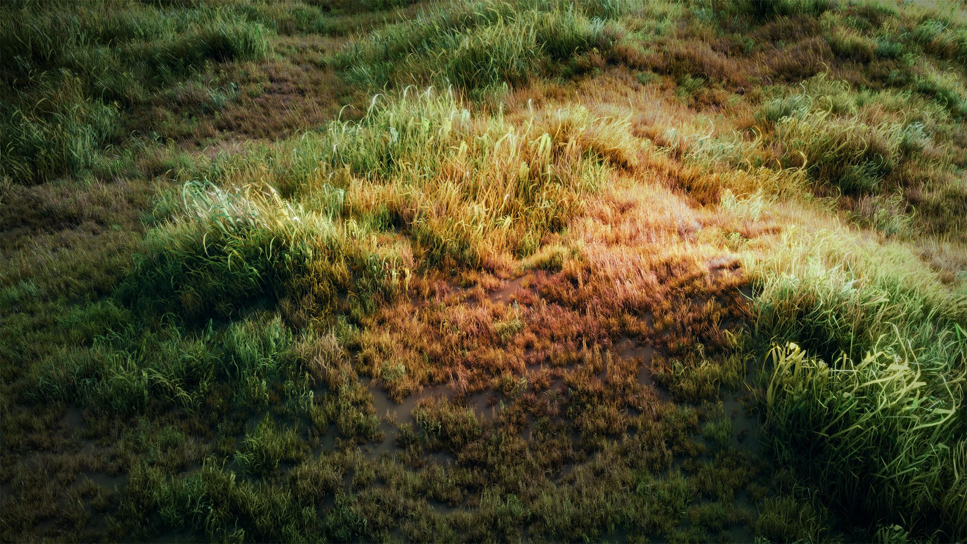 how to create a grass field in blender
