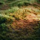 how to create a grass in blender