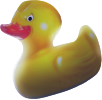 ducky duck