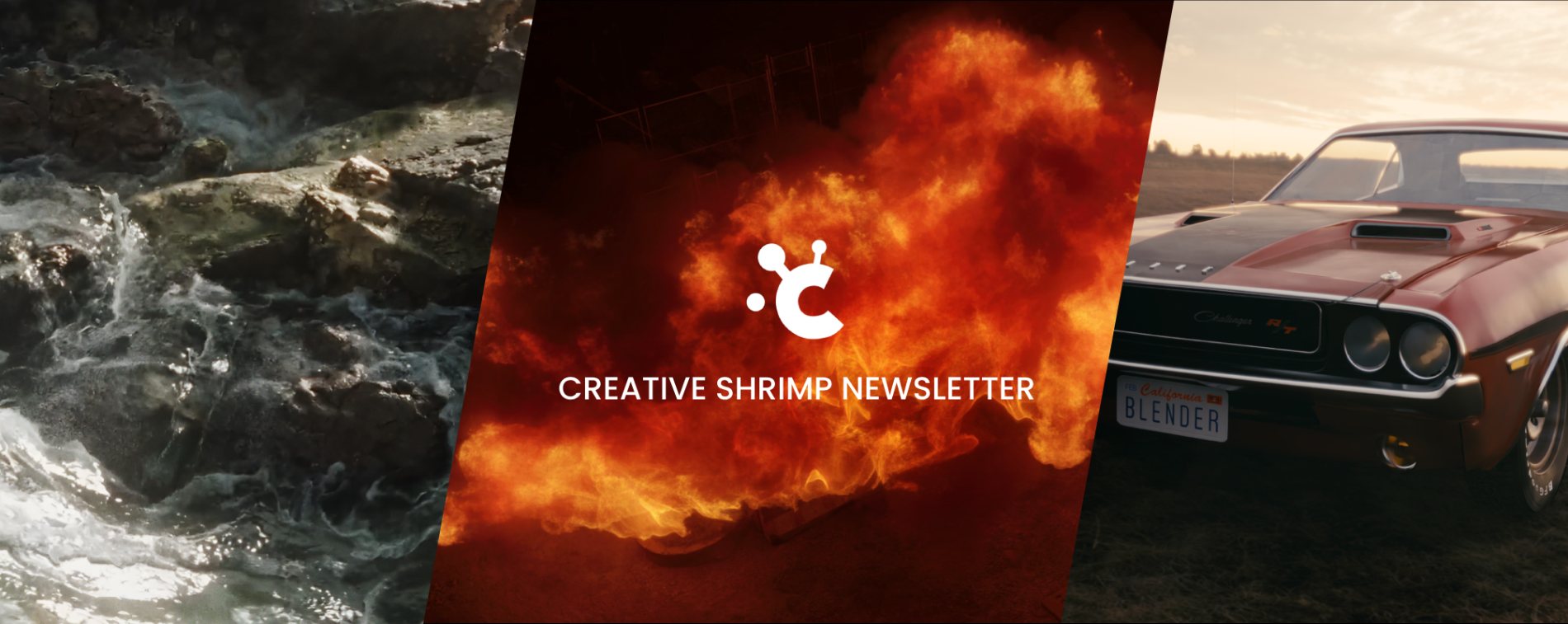 creative shrimp newsletter