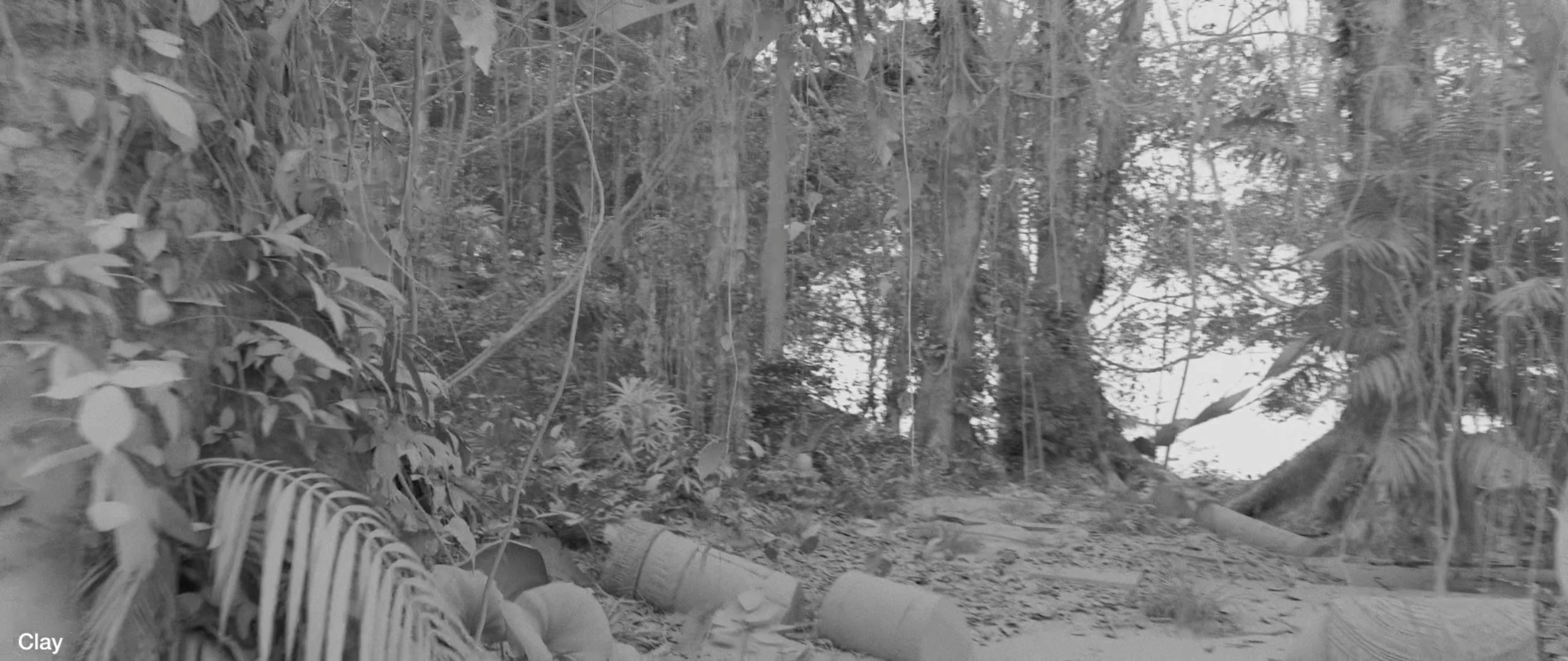 jungle render - clay render